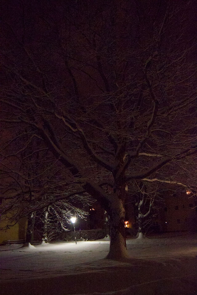 _MG_9667