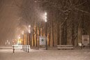 _MG_9603