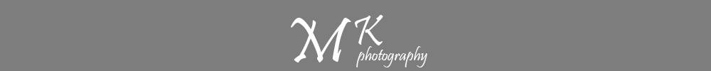 Michael Klaus logo